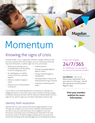 Momentum - 小石城空军基地